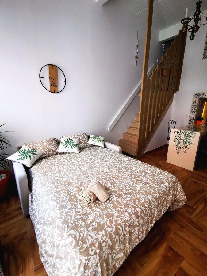 Charming Portuguese Style Apartment, For Rent "Vida A Portuguesa", "Fruta Or Polvo" Alojamento Local ปอร์ติเมา ภายนอก รูปภาพ