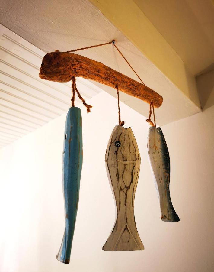 Charming Portuguese Style Apartment, For Rent "Vida A Portuguesa", "Fruta Or Polvo" Alojamento Local ปอร์ติเมา ภายนอก รูปภาพ