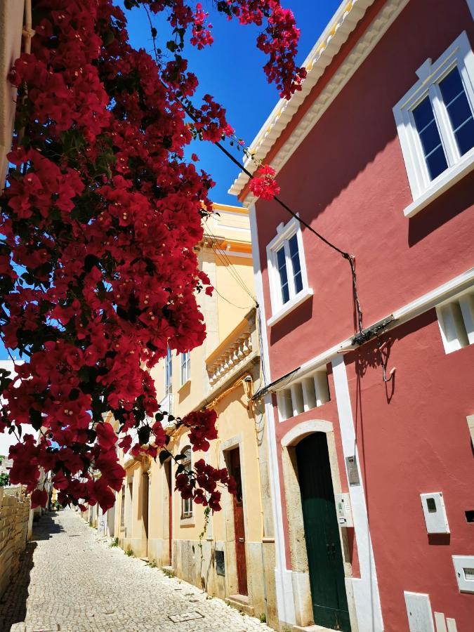 Charming Portuguese Style Apartment, For Rent "Vida A Portuguesa", "Fruta Or Polvo" Alojamento Local ปอร์ติเมา ภายนอก รูปภาพ