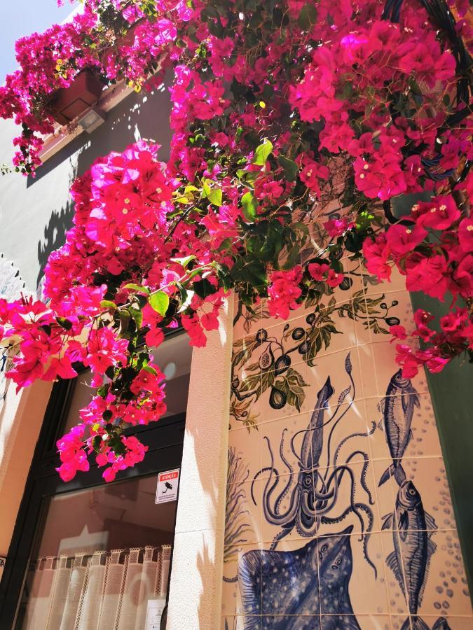 Charming Portuguese Style Apartment, For Rent "Vida A Portuguesa", "Fruta Or Polvo" Alojamento Local ปอร์ติเมา ภายนอก รูปภาพ
