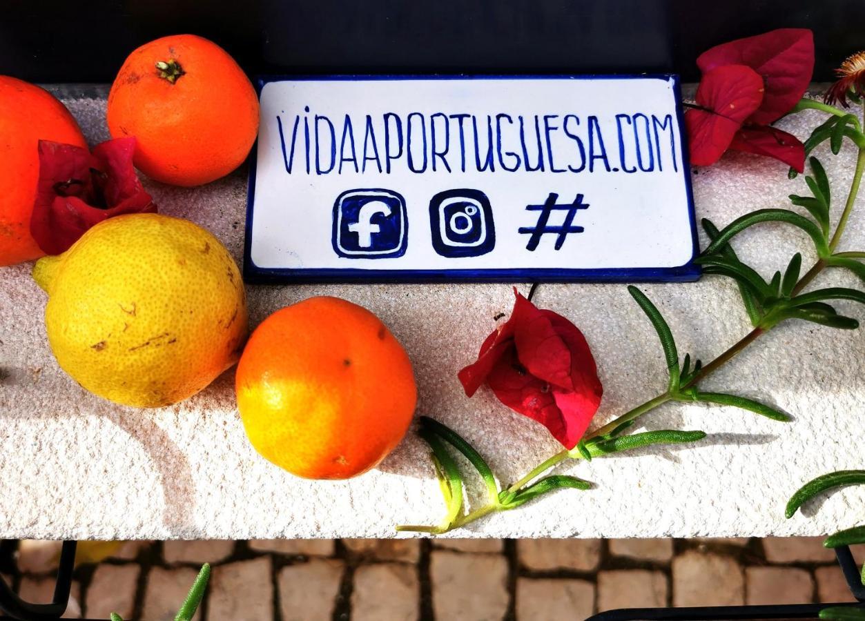 Charming Portuguese Style Apartment, For Rent "Vida A Portuguesa", "Fruta Or Polvo" Alojamento Local ปอร์ติเมา ภายนอก รูปภาพ